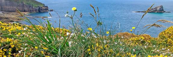 Einfach leben – einfach Leben